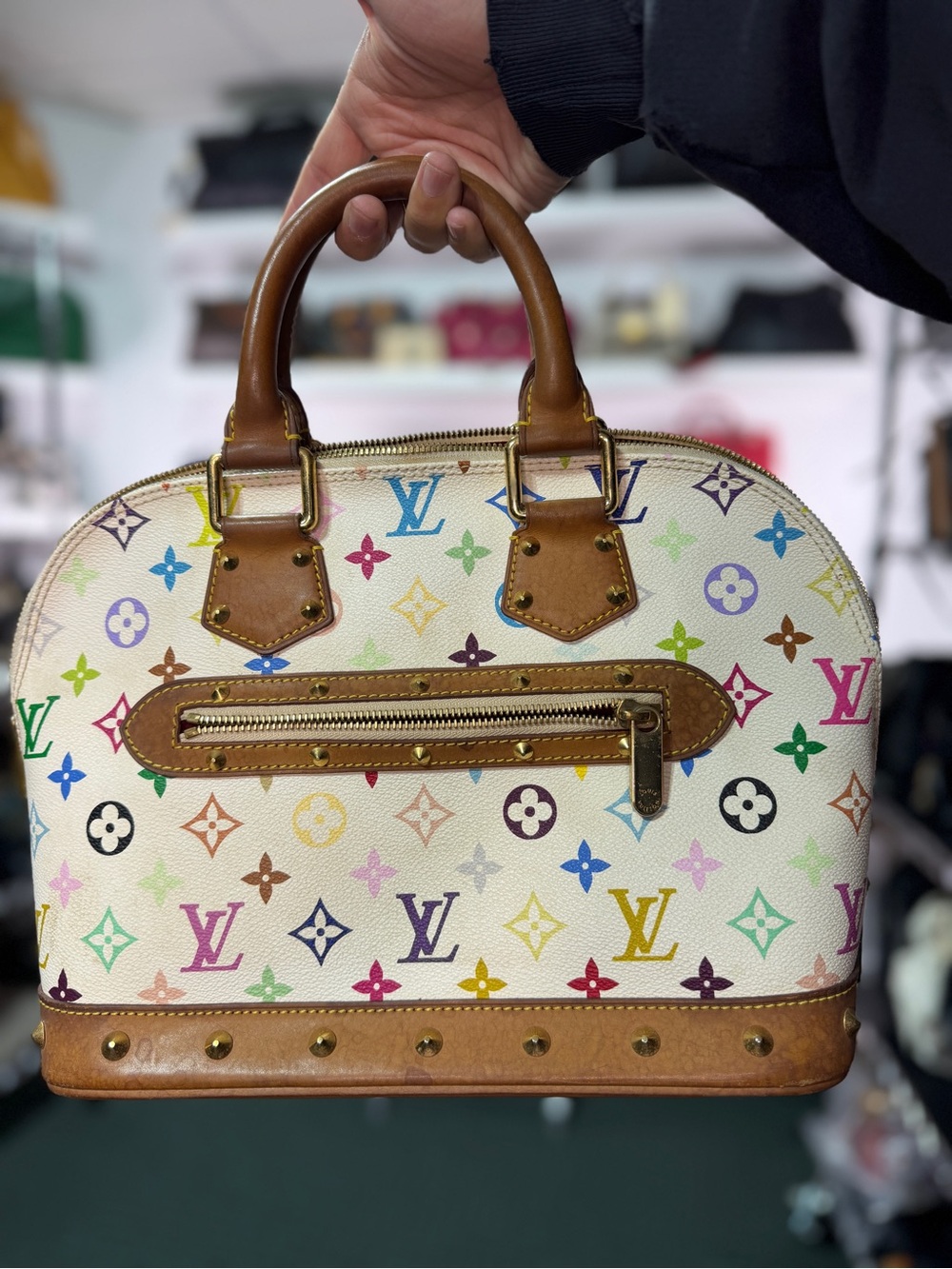 Ana LV Multicolor Bag